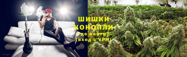 трава Алзамай