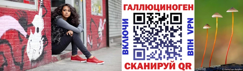 МЕГА ссылки  Туринск  это телеграм  как найти   Псилоцибиновые грибы Cubensis 
